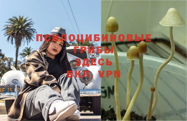 прущий лед Бугульма